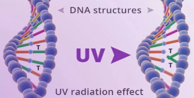 1622718204.png QQ截圖20210603171558.png